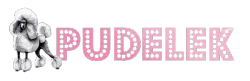 Pudelek